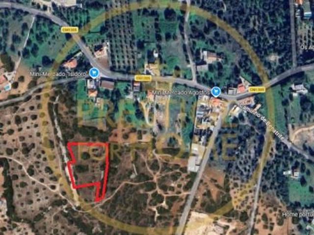 Faro Algarve 103595166