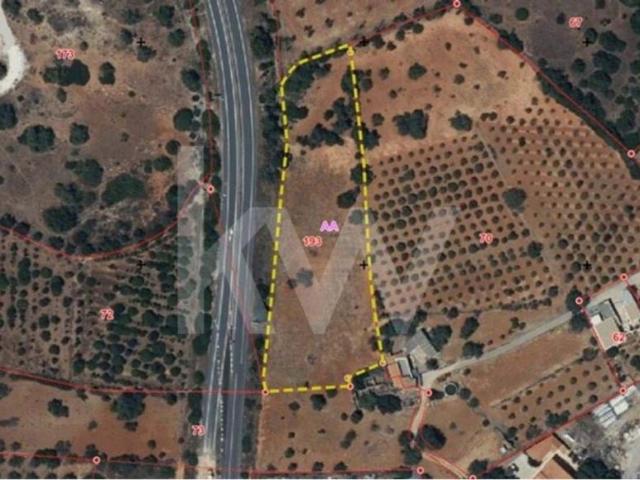 Faro Algarve 79782217