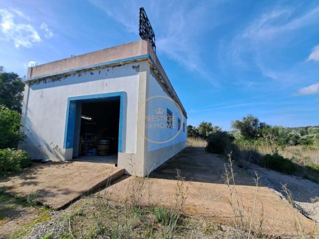 Faro Algarve 86008688