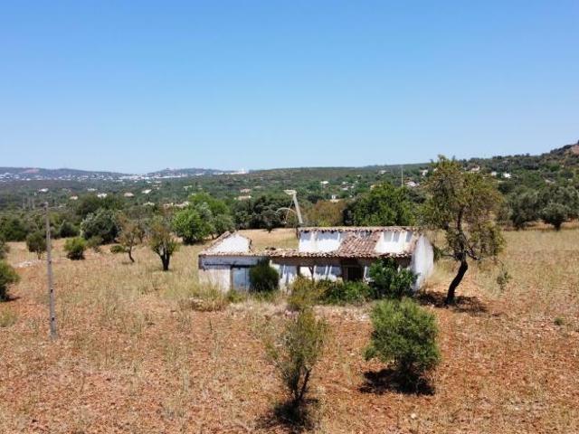 Faro Algarve 99693309