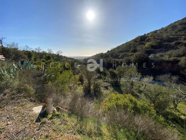 Faro Algarve LS71057241