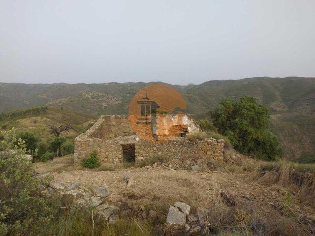 Faro Faro 101398137