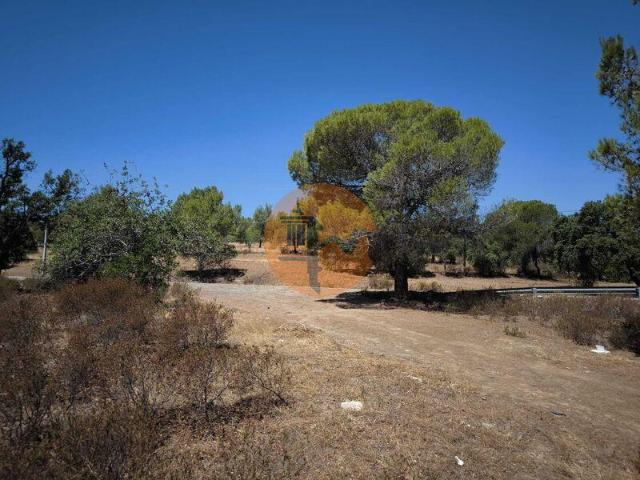 Faro Faro 101398138