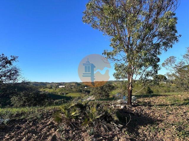 Faro Faro 101398131
