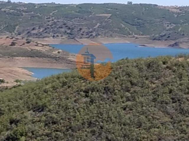 Faro Faro 101398143