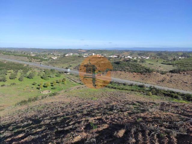 Faro Faro 101398175