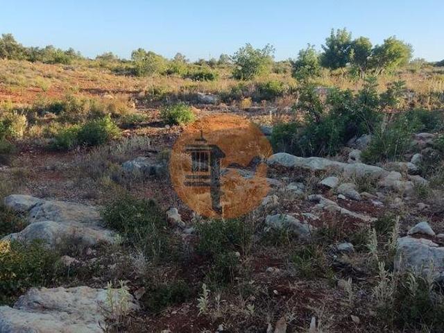 Faro Faro 102010855