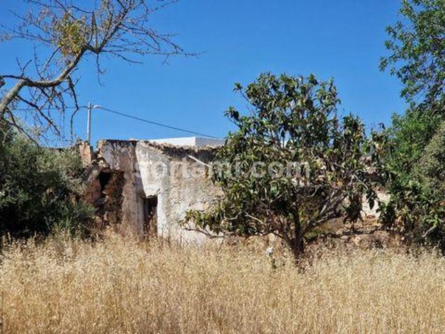 Faro Faro 102116536