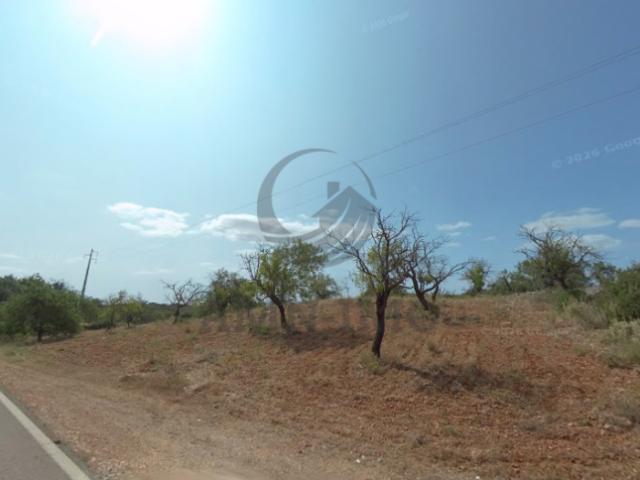 Faro Faro 103003204