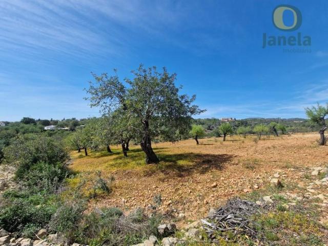 Faro Faro 91320229