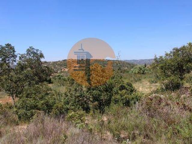 Faro Faro 96316234