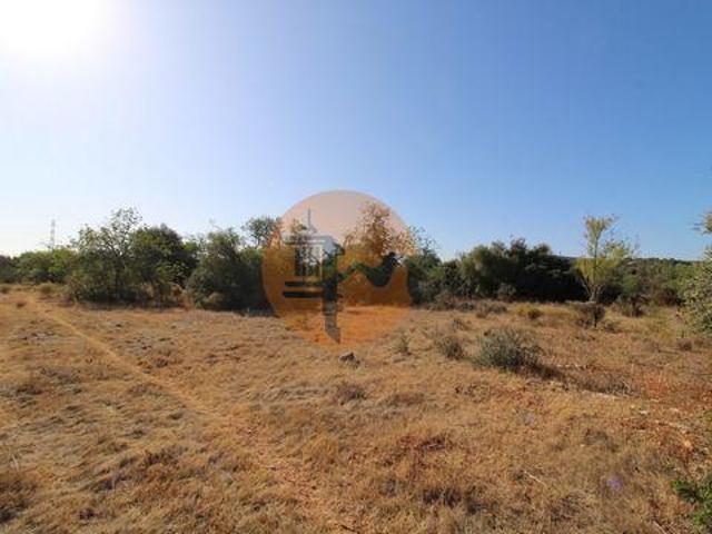 Faro Faro 96316250