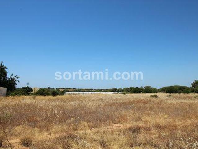 Faro Faro 96331278