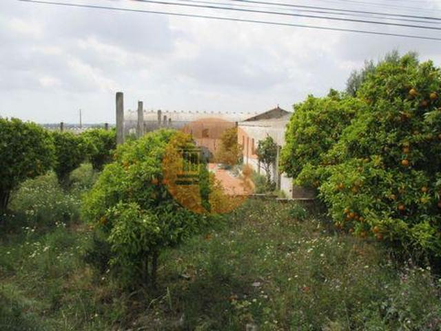 Faro Faro 97103627