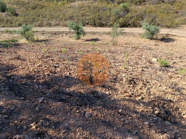Faro Faro LS101398141