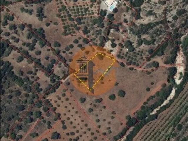 Faro Faro LS101398172