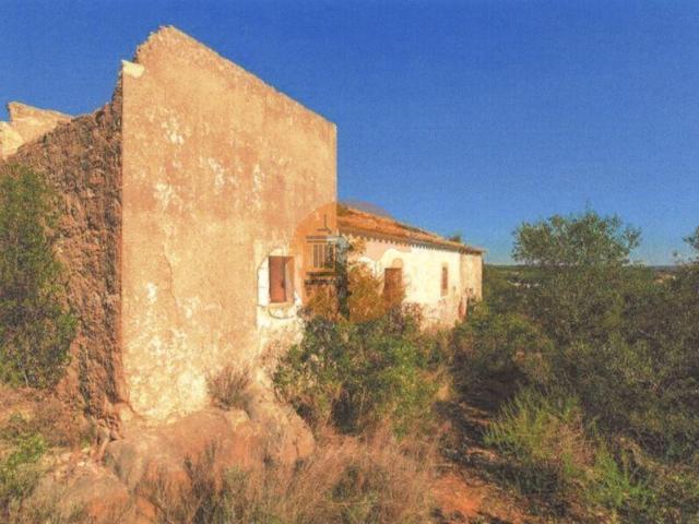 Faro Faro LS102010646