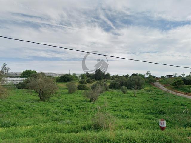 Faro Faro LS103003192