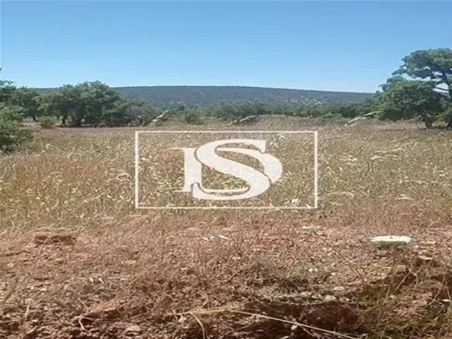 Faro Loulé 104976273