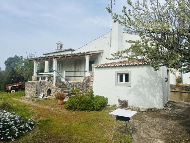 Faro Loulé 8100 101042250