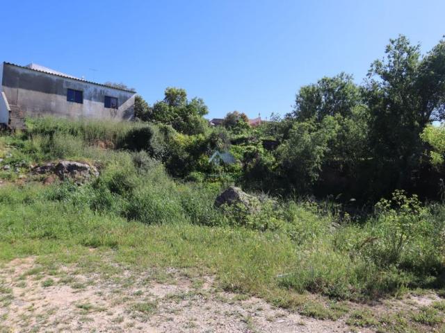 Faro Loulé 8100 101468476