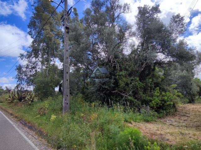 Faro Loulé 8100 102203724