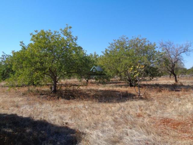 Faro Loulé 8100 102658201