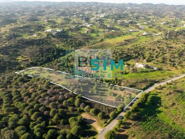 Faro Vila Real de Santo António 8900 97701361
