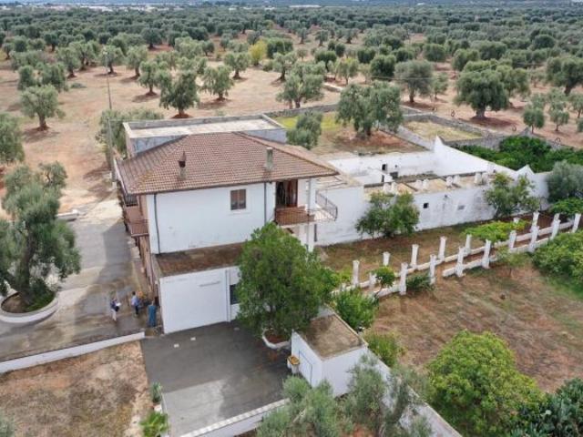 fasano masseria con uliveto