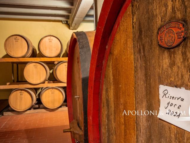 Fattoria Vigneti Chianti Classico, Gaiole in Chianti Toscana 1110m² Gaiole in Chianti