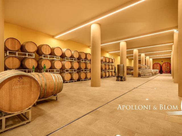 Fattoria con vigneti di Vino Nobile di Montepulciano Tosca. 2381m² Montepulciano
