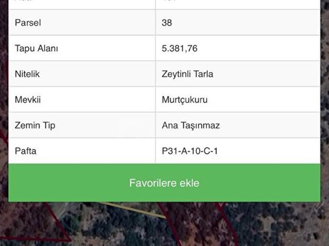 FATİH GAYRIMENKULDEN YATIRIMLIK ZEYTİN BAHCESİ