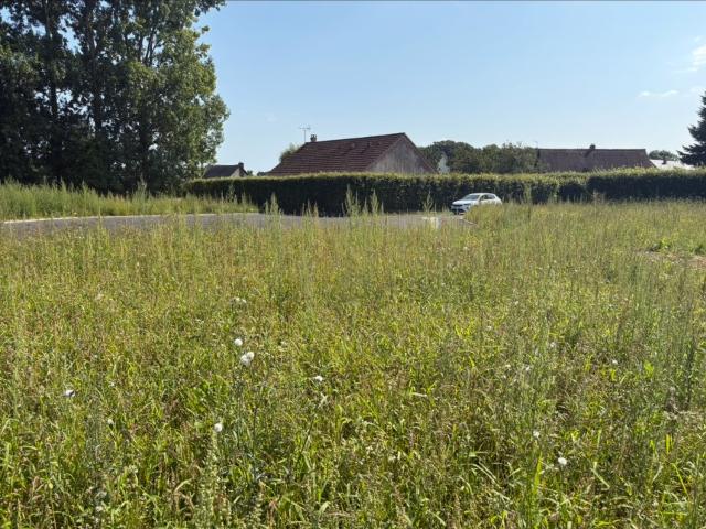 Fauville en Caux Vente Terrain 76