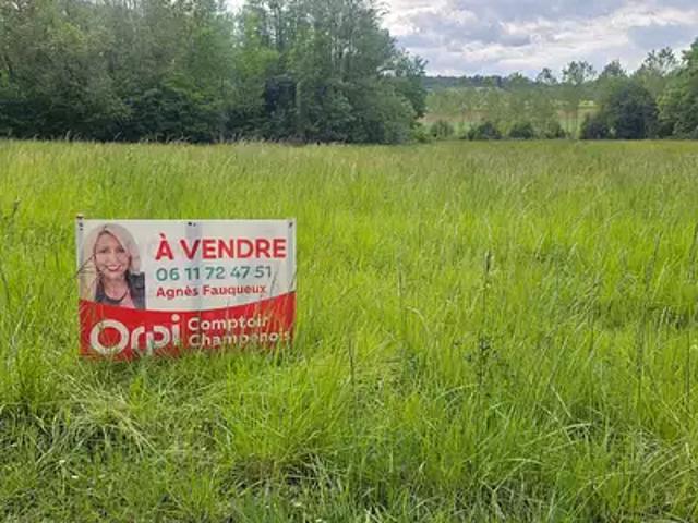 Faverolles et Coëmy 51170 Achat / Vente terrain