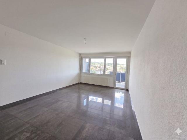 Favourite: Magnificent 4.5 room apartment completely renovated with a view of the city