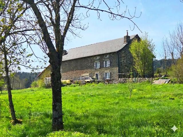 Fay sur Lignon Vente Maison 43