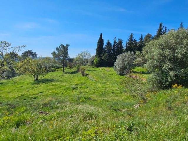 Fayence Vente Terrain 83