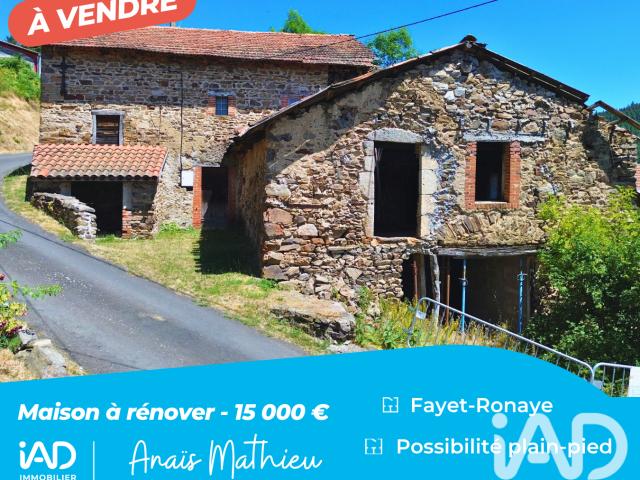 Fayet Ronaye Vente Maison 63