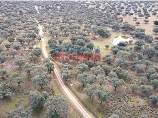 Fazenda Majadas Majadas 88000447