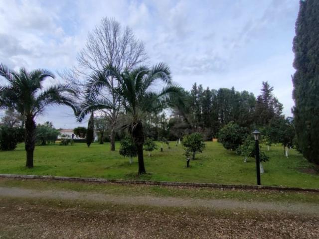 Fazenda Morón De La Frontera Morón De La Frontera LS94819228