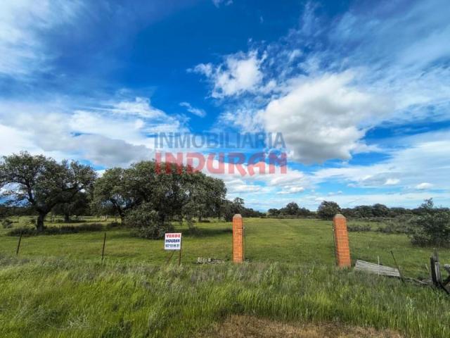 Fazenda Navalmoral De La Mata Navalmoral De La Mata 101064993
