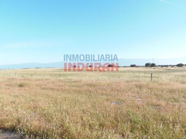 Fazenda Navalmoral De La Mata Navalmoral De La Mata 103204875