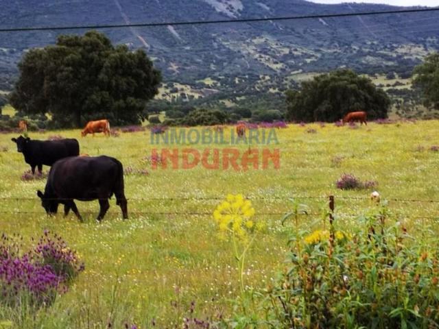 Fazenda Alía Alía 102789514