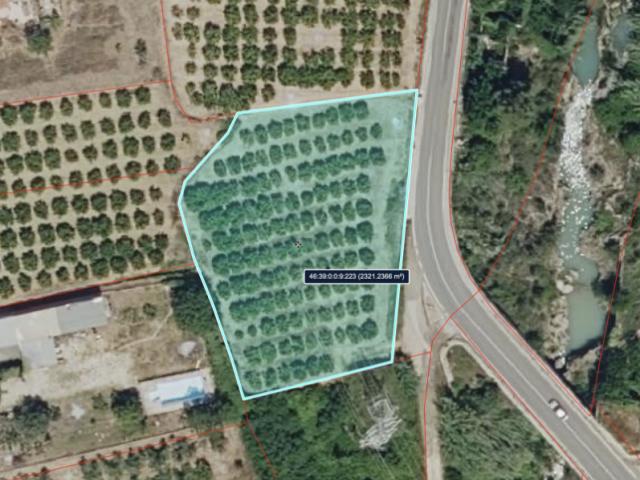 Fazenda Anna Valencia 83122018