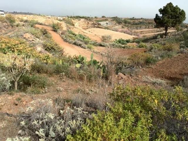 Fazenda Arico S. C. Tenerife 83121679