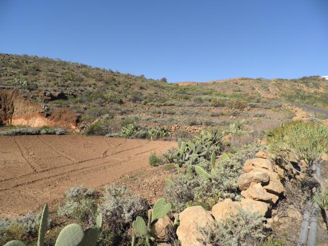 Fazenda Arico S. C. Tenerife 83121681