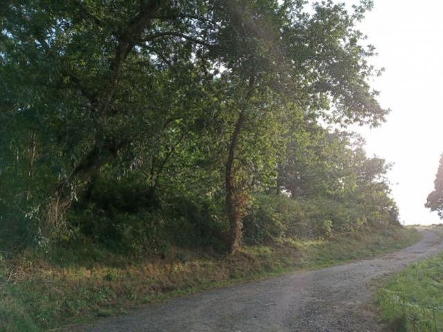 Fazenda Arteijo La Coruña 83122047