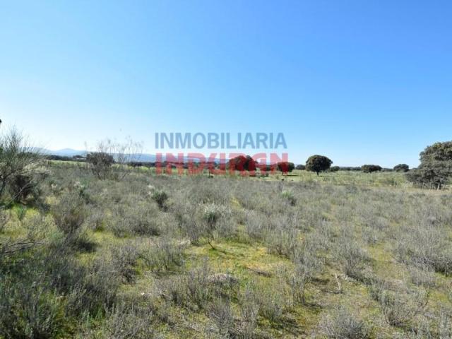 Fazenda Belvís De Monroy Belvís De Monroy 103204779