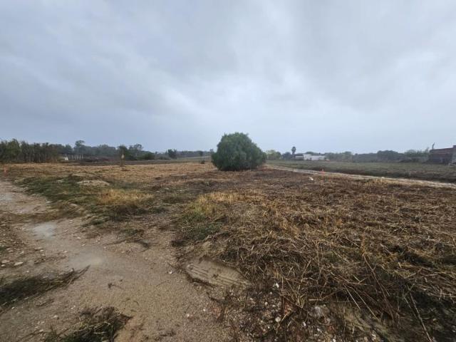 Fazenda Chiclana De La Frontera Cádiz LS96341533