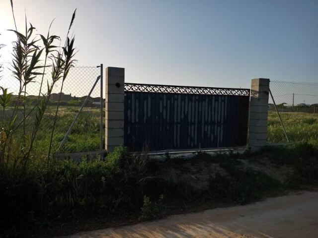 Fazenda Chiclana De La Frontera Cádiz 92939779